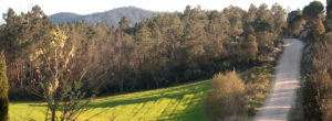 Arroyo de Benaula