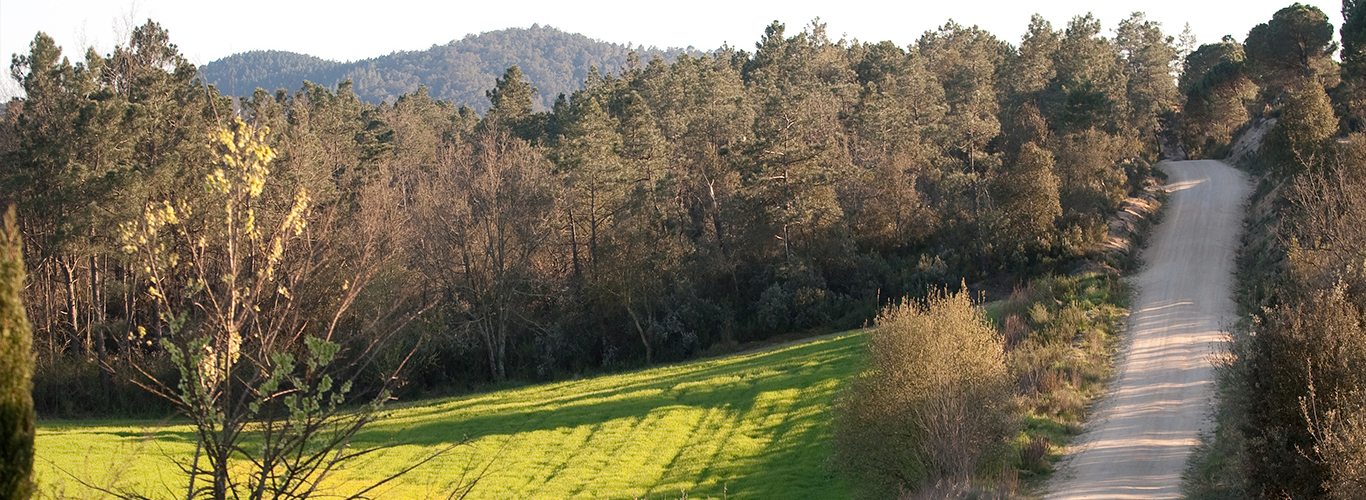 Arroyo de Benaula