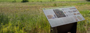 Ruta del Camp dels Ninots