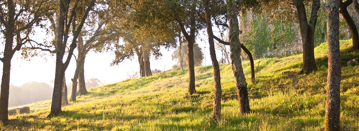 Ruta de Sant Maurici