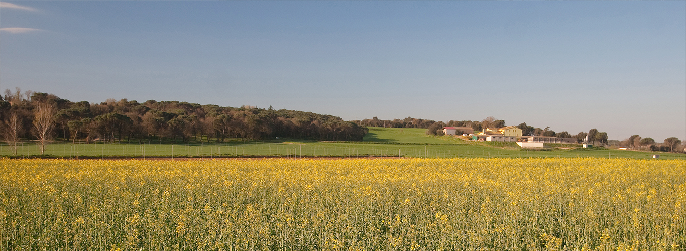 Ruta dels Camps de l’Onyar