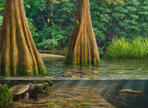 El agua, una fuente de vida