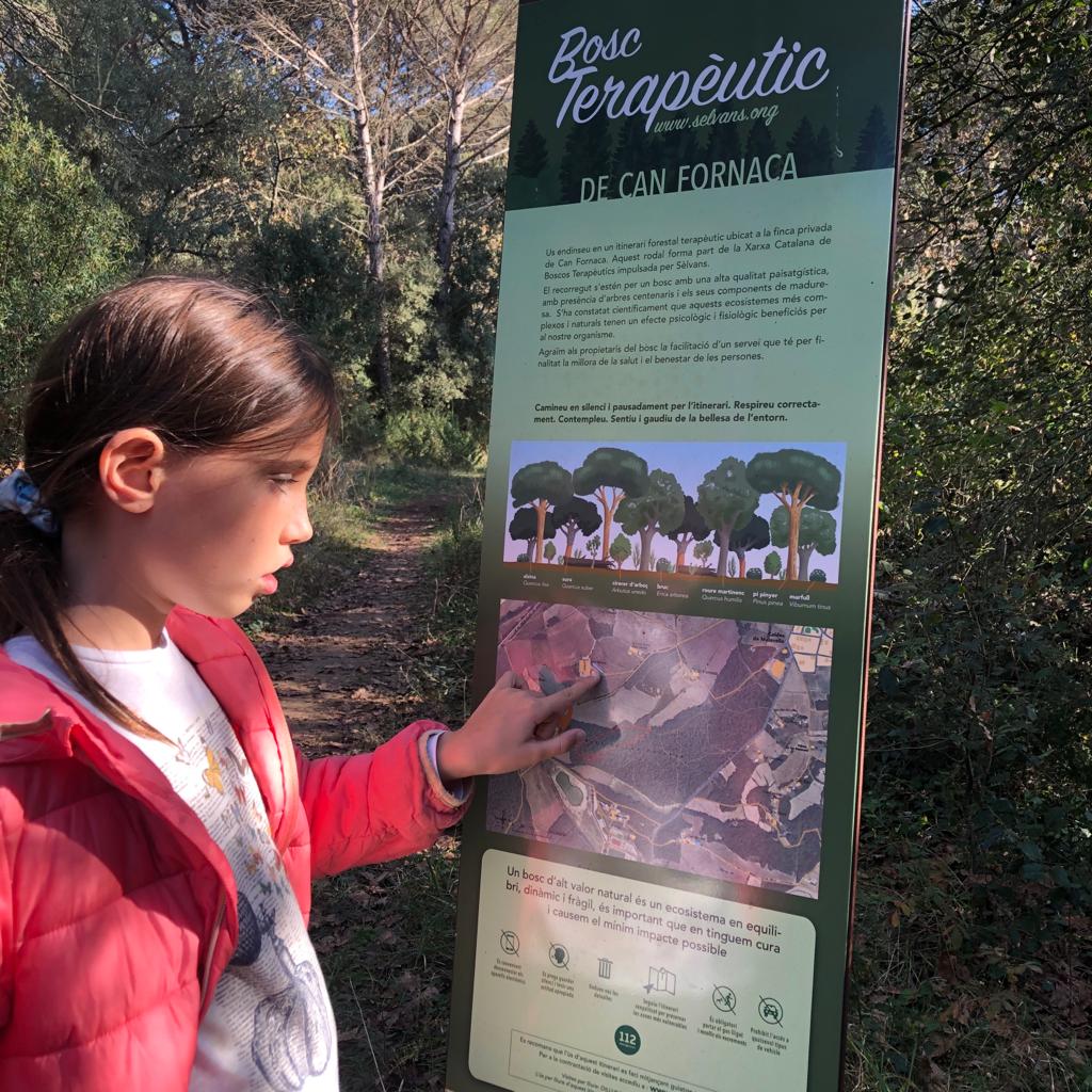 Soundscape : Bany de bosc al Bosc de Can Fornaca