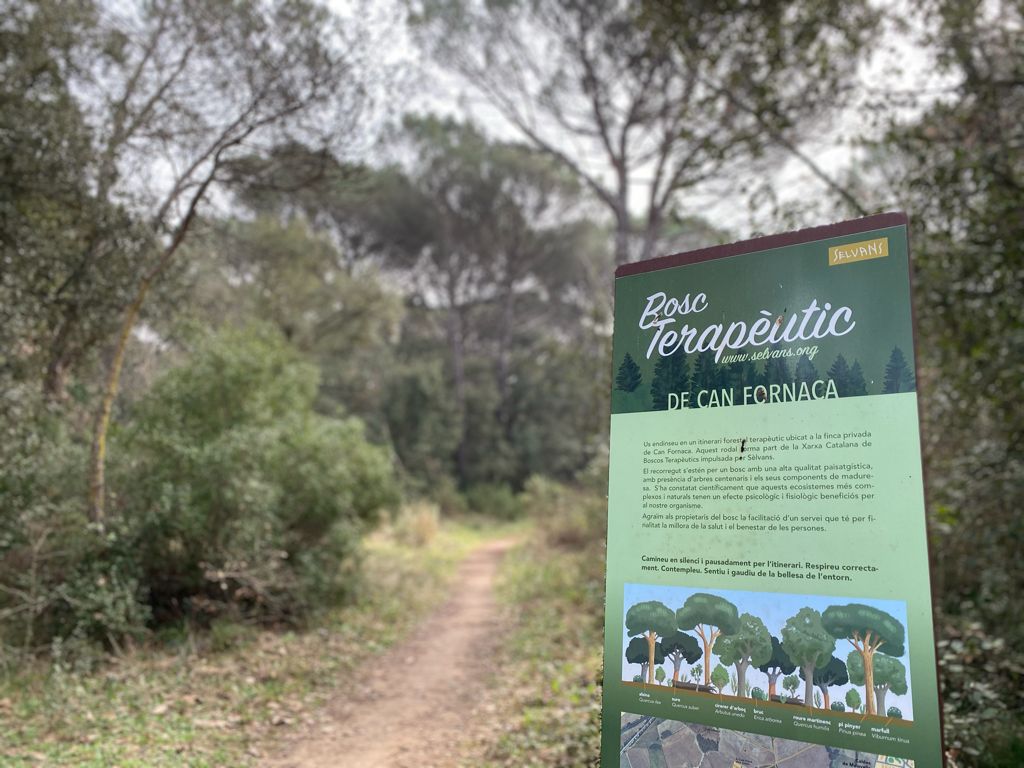Bosque terapéutico de Can Fornaca