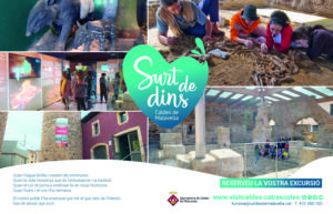 Oferta de les activitats educatives a Caldes