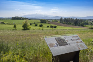 Visita musical i gastronòmica al Camp dels Ninots